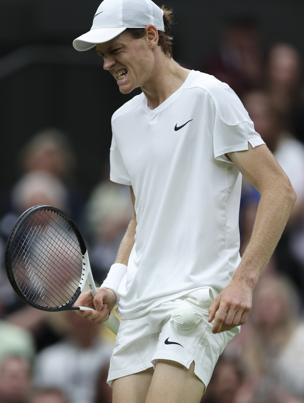 泳坛小花的 泳坛小花的